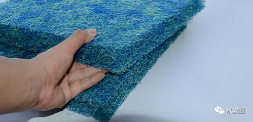 全程揭秘小龍老師 原境 作品