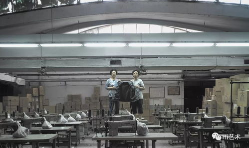 hi話題 西岸嘉年華,博覽會 17個展覽的專業(yè)攻略