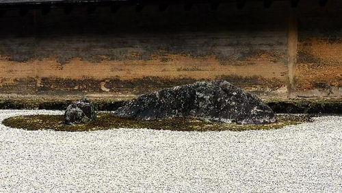 日本寺院 枯山水 體現禪意,原是由我國傳入