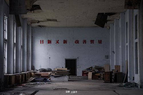 蔣不的相冊(cè) 墟墓之間 ──西南