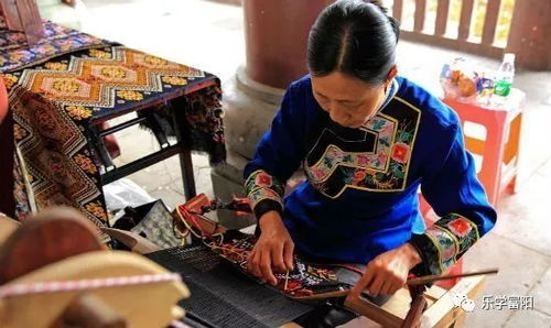 2018 富陽日報冬令營 寒假想去哪兒,你說了算