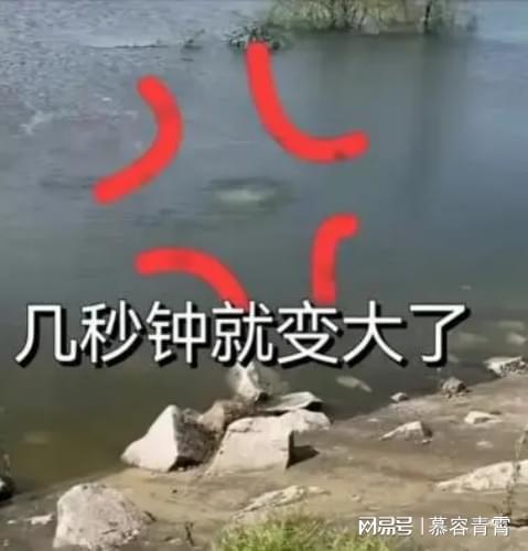 砂石畫中的洞庭湖決堤之困